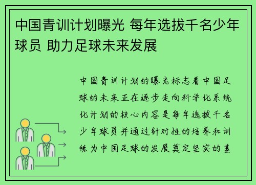 中国青训计划曝光 每年选拔千名少年球员 助力足球未来发展